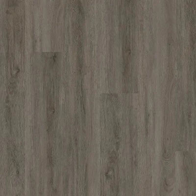 Earthwerks Chassis Advantage SPC Plus Motorcoach