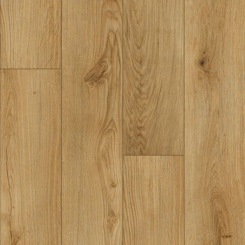 Paramount Signature WPC Congaree Sample Swatch