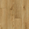 Paramount Signature WPC Congaree Sample Swatch