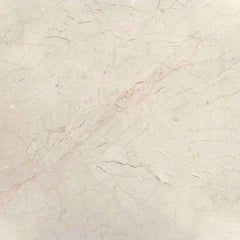 Marble Tile Collection Crema Marfil Classic 12"x12" Swatch