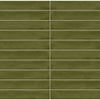 Fern / 8.3