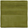Fern / 10.12