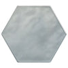 Daltile Mesmerist Hexagon Whimsy