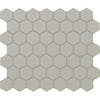 Desert Gray