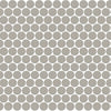 Desert Gray