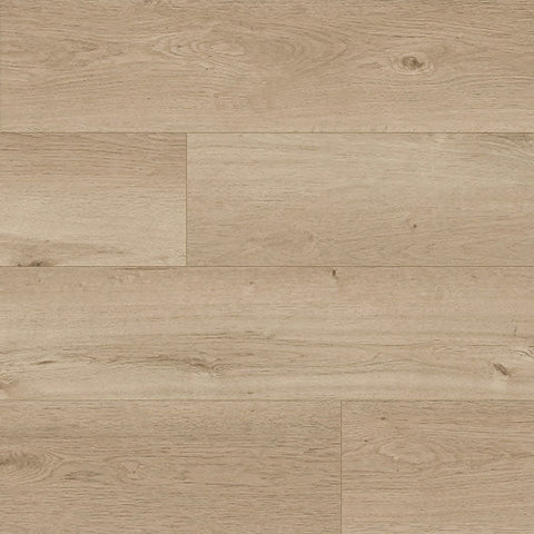 Paramount Signature WPC Dodger Point Swatch