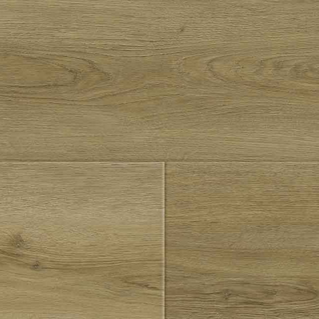 Casabella Novocore Premium Best in Show