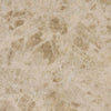 Marble Tile Collection Emperador Light 18"x18" - Polished Swatch