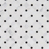 Marble Tile Collection Arabescato Carrara Florita Pattern Swatch