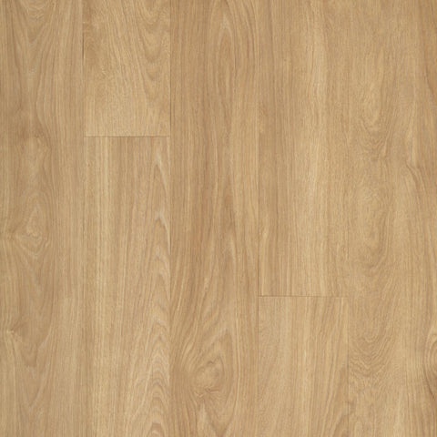 Mohawk Footpath 20 Glue Down LVT Amtico Wood Clearance - Swatch
