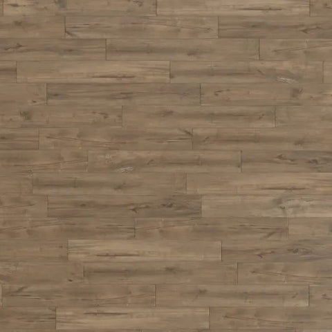 Mannington Adura Max Coventry Forest Swatch Square