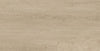 Metroflor Genesis WPC Authentics Accurate Swatch 2