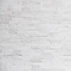 Realstone Systems Gilded Frost Ledgestone Panel 6"x24"