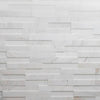 Realstone Systems Shadowstone Gilded Frost Honed Panel 6"x24"