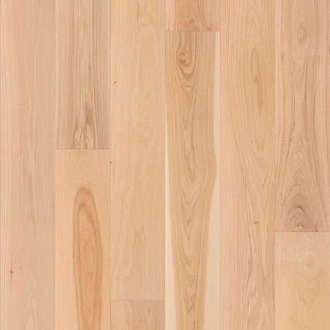 Shaw Natural Classics Hickory 7" Swatch