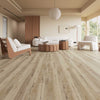 FloorLife Quest Radiance Room Scene