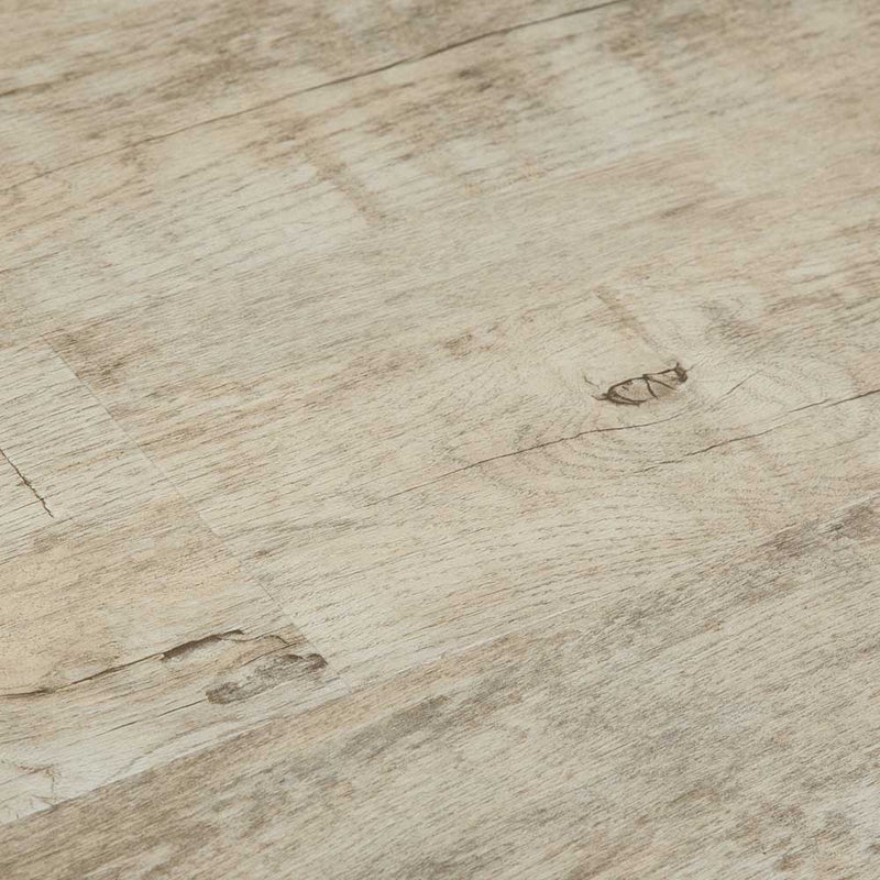 FloorLife Explorer Dynamic Sample