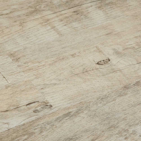 FloorLife Explorer Dynamic Sample