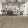 FloorLife Latitude Acme Room Scene 2