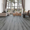 FloorLife Explorer Persevere Room Scene 2