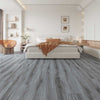 FloorLife Explorer Persevere Room Scene