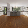 FloorLife Explorer Vigorous Room Scene
