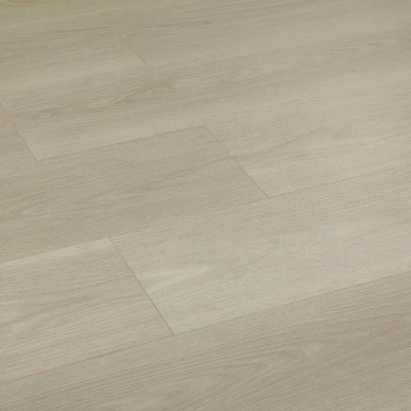 FloorLife Pioneer Shield Sample