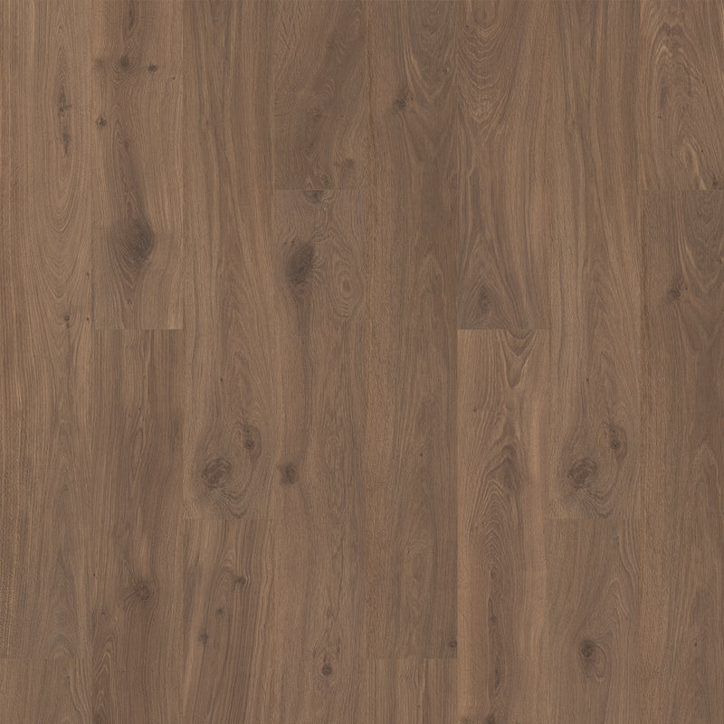 Quick-Step Ellicott Point Leather Bound Oak