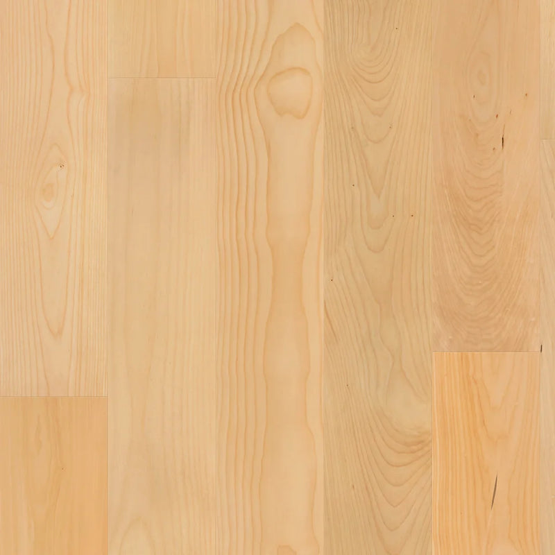 Shaw Natural Classics Hard Maple 7