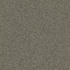 Mohawk Aladdin Carpet Tile Rule Breaker Nickel Swatch