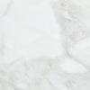 Brilliant White / 15.52