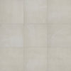 Elegant Beige / 17.02