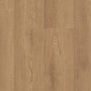 Shaw Paragon HD Plus Davenport Swatch