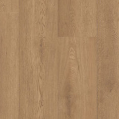 Shaw Paragon HD Plus Davenport Swatch