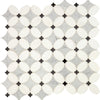 Daltile Lavaliere Mosaic Petal Carrara Thassos Black Ant Mirror