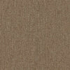 Shaw Carpet Tile Profusion Tile Ample Swatch
