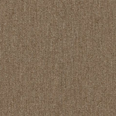 Shaw Carpet Tile Profusion Tile Ample Swatch