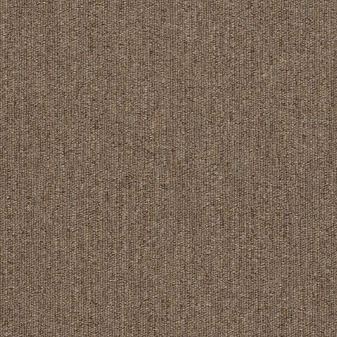 Shaw Carpet Tile Profusion Tile Excess Swatch