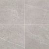 Daltile Prime Matte 12x12 Stamina Grey