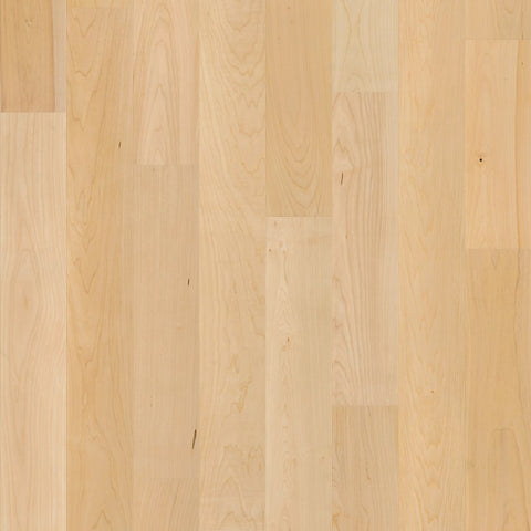 Shaw Natural Classics Hard Maple 5" Swatch