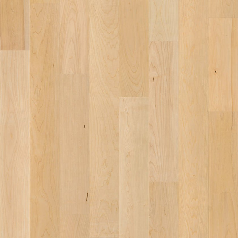 Shaw Natural Classics Hard Maple 5