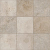 Shaw Tile Basanite Legacy 16x16 Slip Resistant