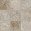 Shaw Tile Basanite Legacy 8x8 Slip Resistant Walnut Swatch
