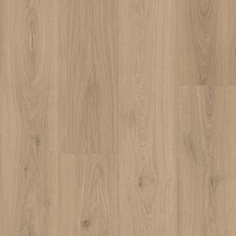 Paramount Signature WPC Smoke Tree Sample Swatch