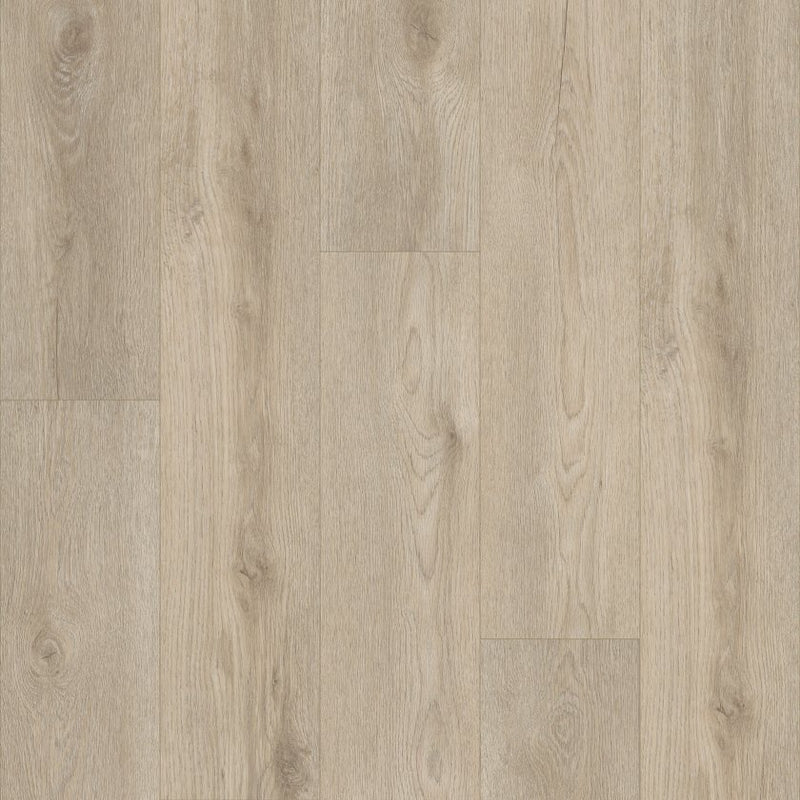 Shaw Paladin Plus Soft Beige