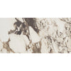 Calacatta Aries / 17.02