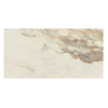 Daltile Panoramic Duet Rectangle 12x24 Calacatta Topaz Swatch