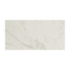 Daltile Panoramic Duet Rectangle 12x24 Polished Diamond Mine Swatch