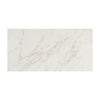 Daltile Panoramic Duet Rectangle 24x48 Diamond Mine Swatch