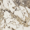 Daltile Panoramic Duet Square 24x24 Polished Calacatta Aries Swatch